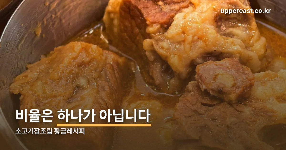 소고기장조림 황금레시피 정리 썸네일