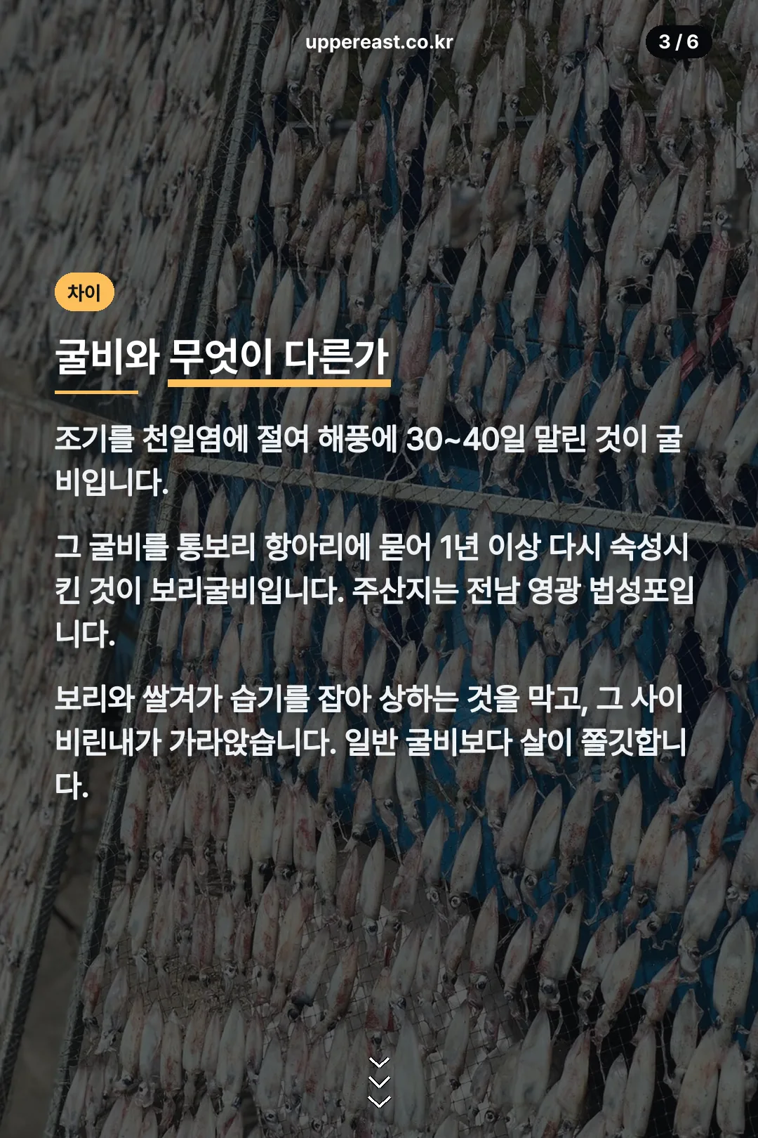 굴비와 보리굴비 차이