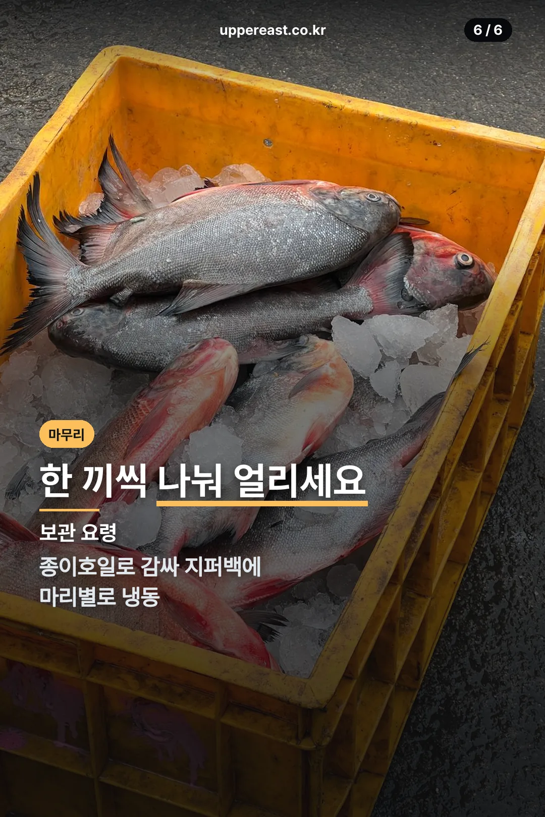 보관 요령