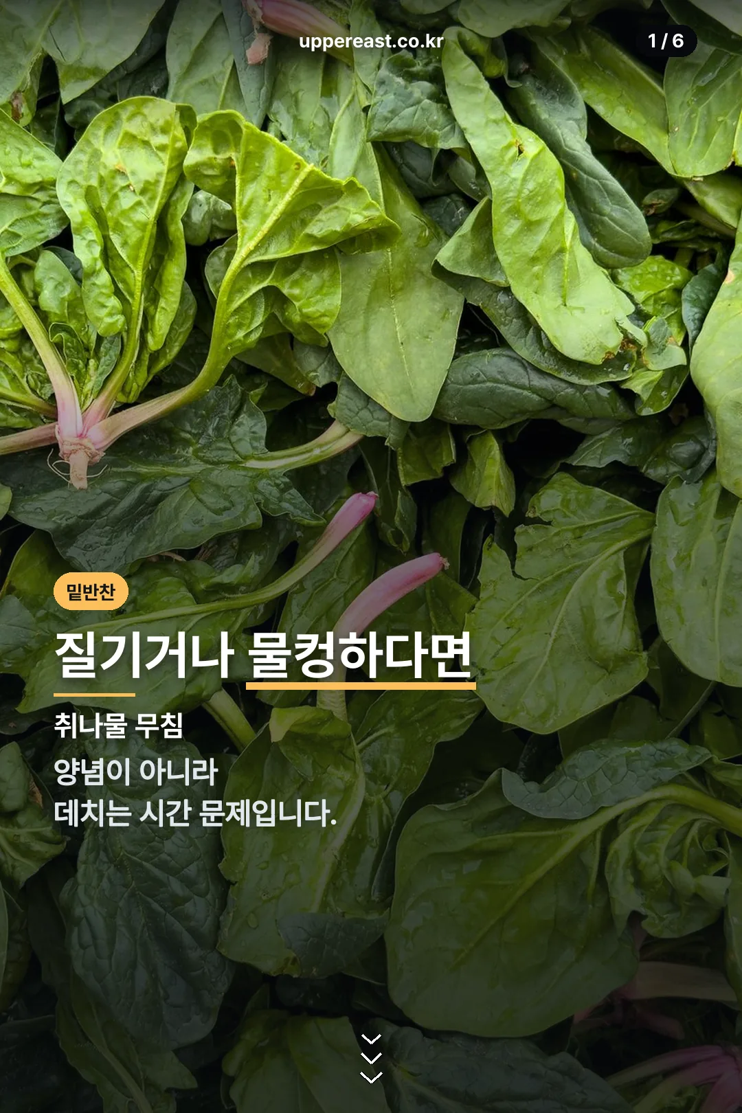 취나물 무침 표지