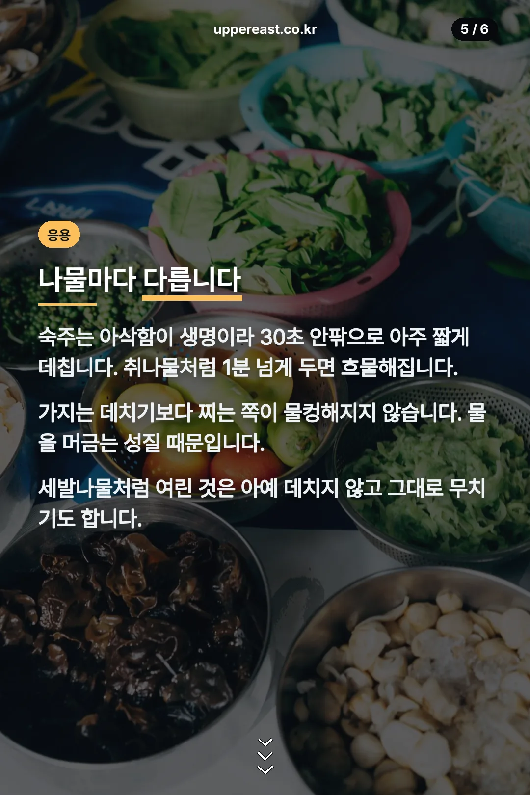 나물별 데치기 차이