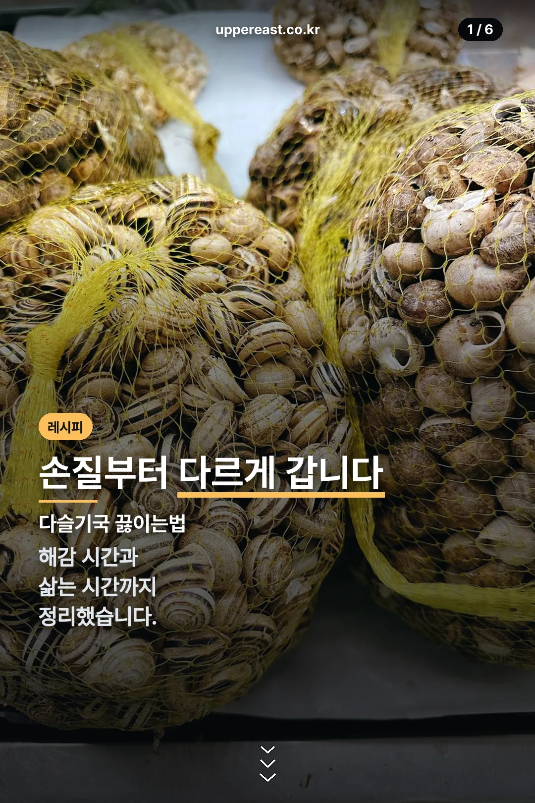 다슬기국 끓이는법 표지