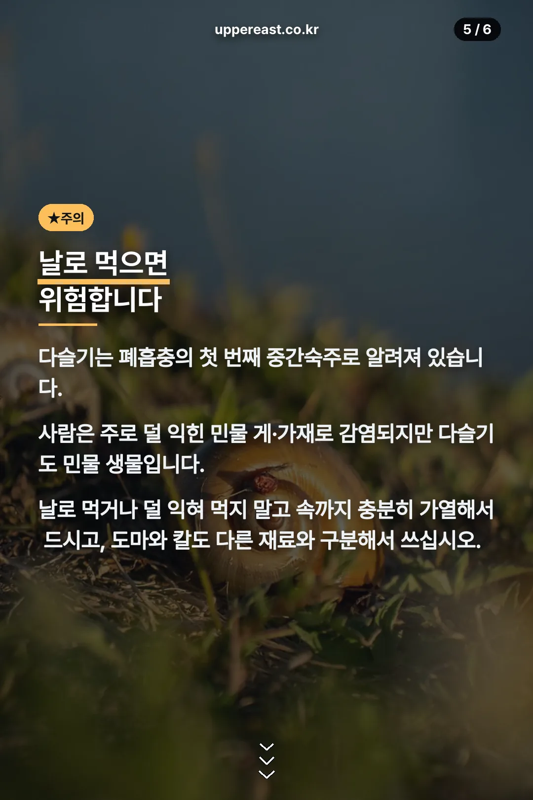 폐흡충 감염 주의