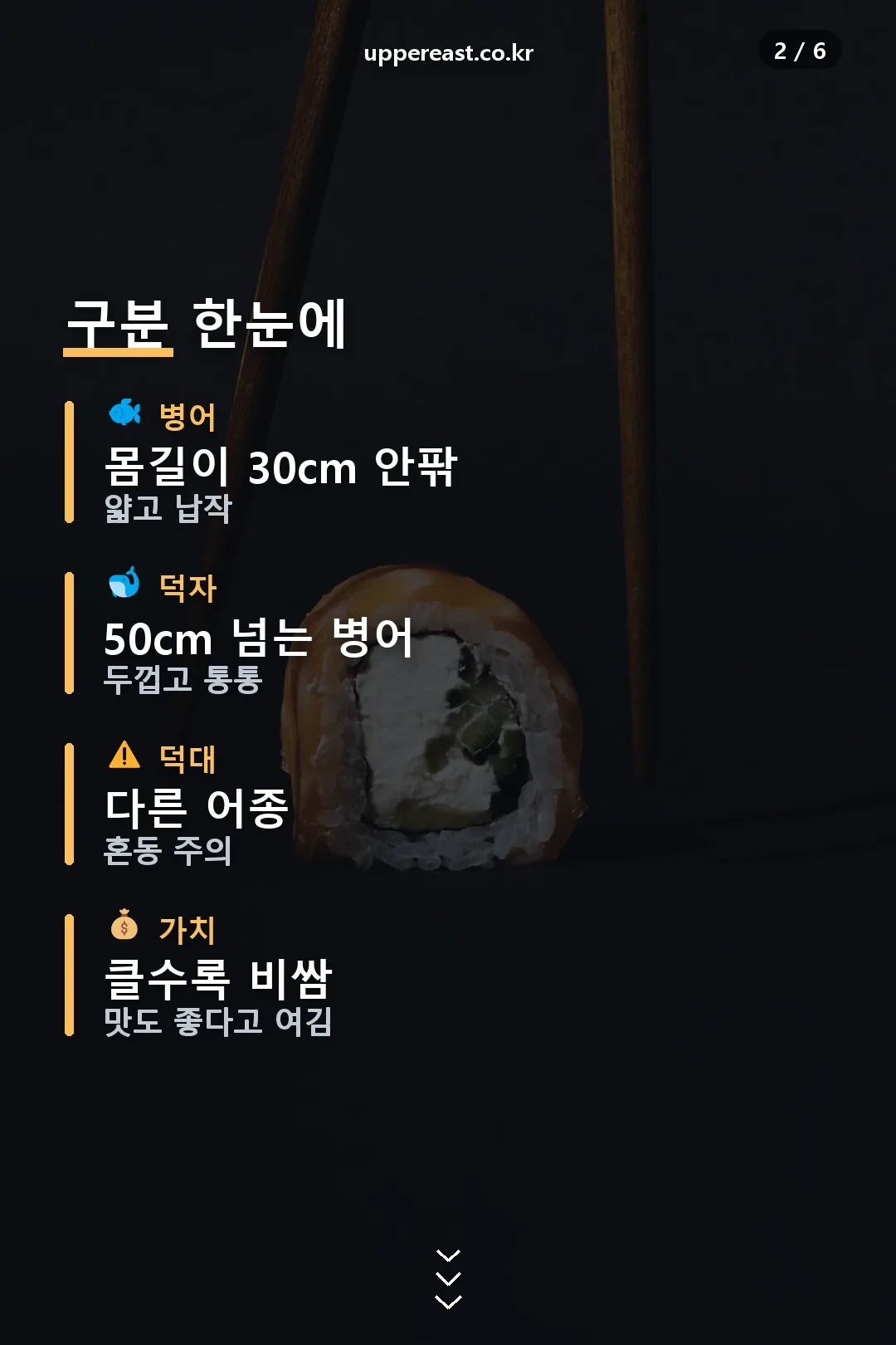 구분 요약