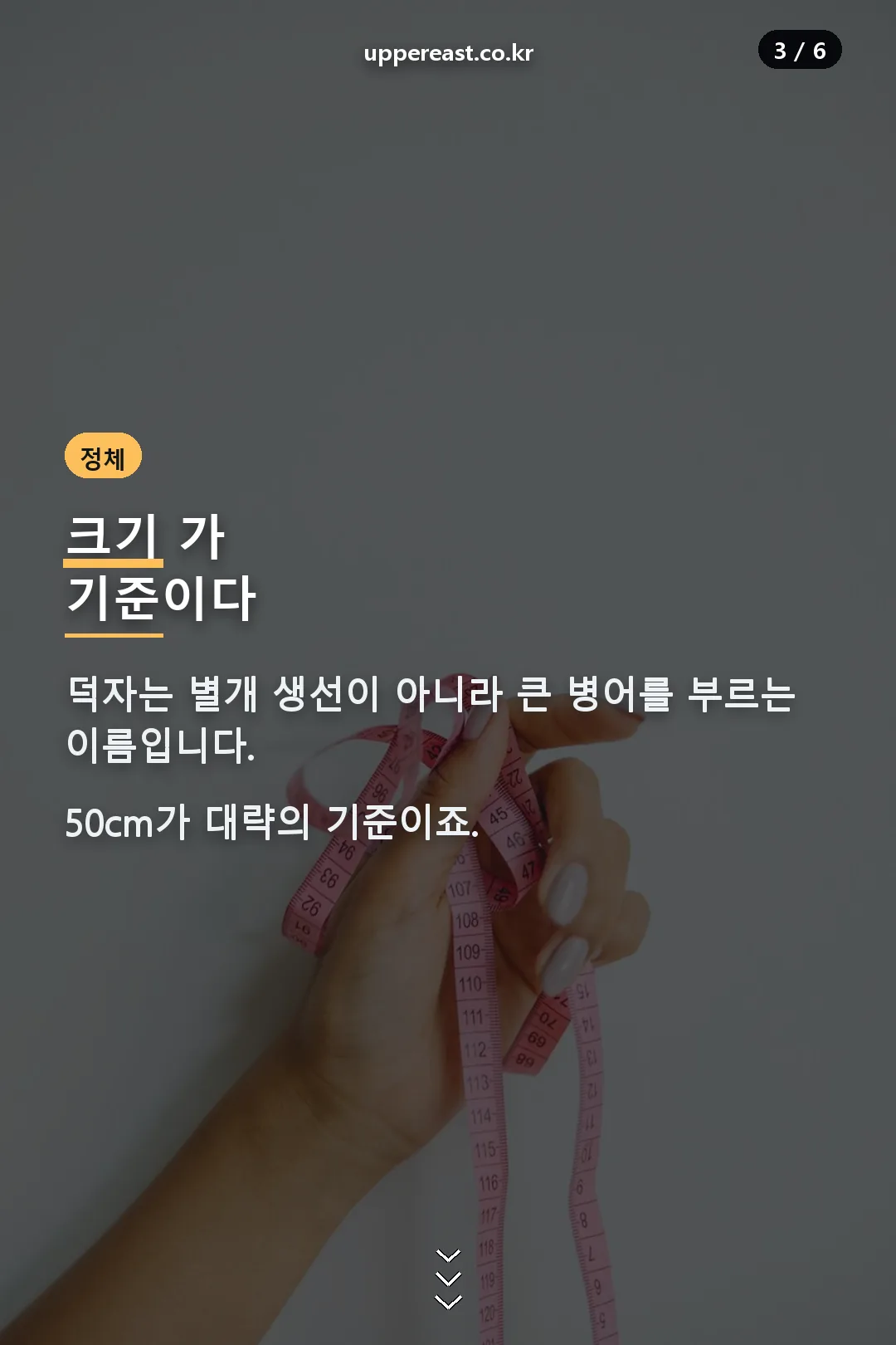 크기 기준