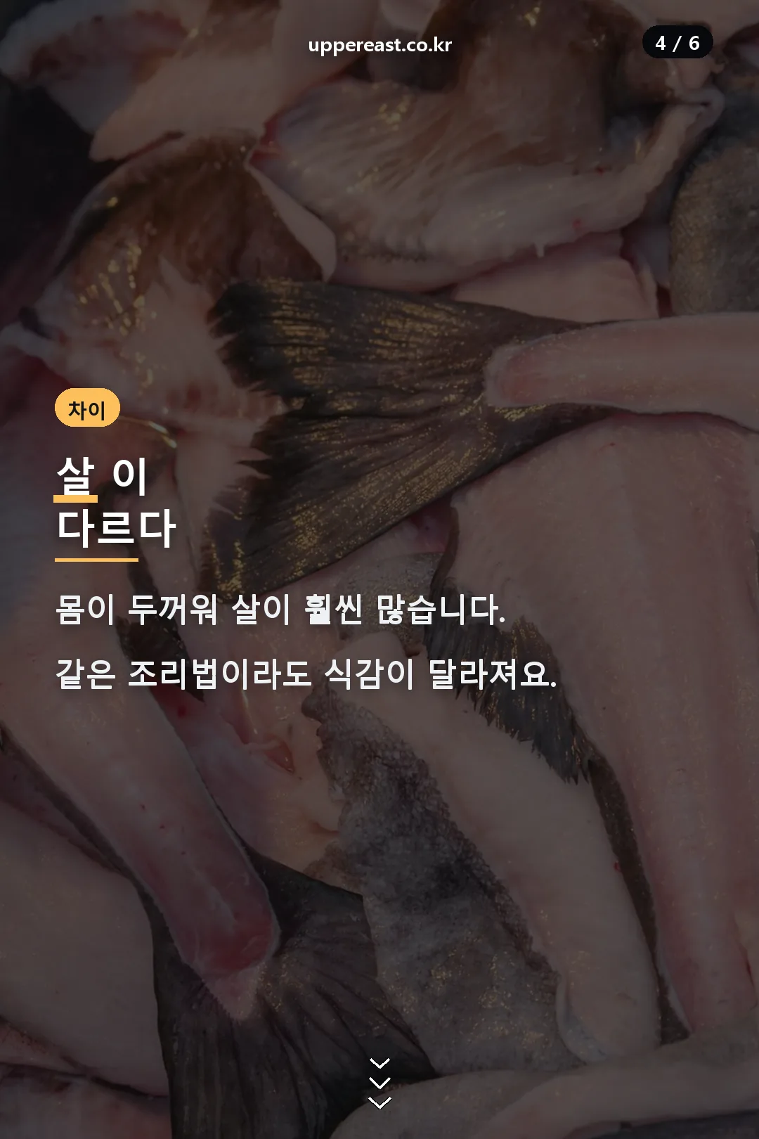 살의 차이