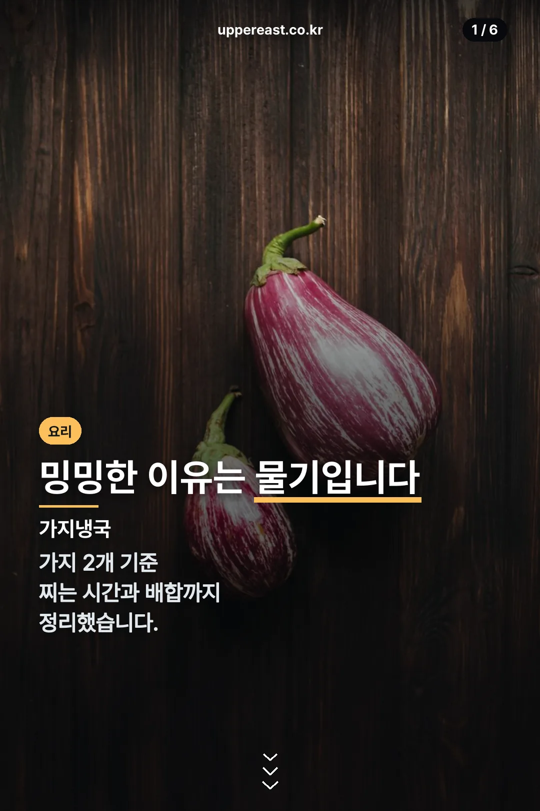 가지냉국 표지