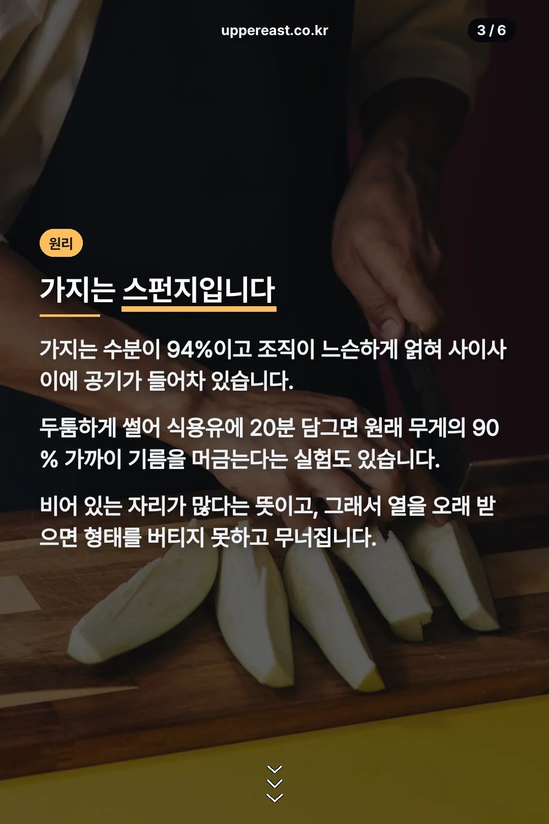 가지의 스펀지 구조