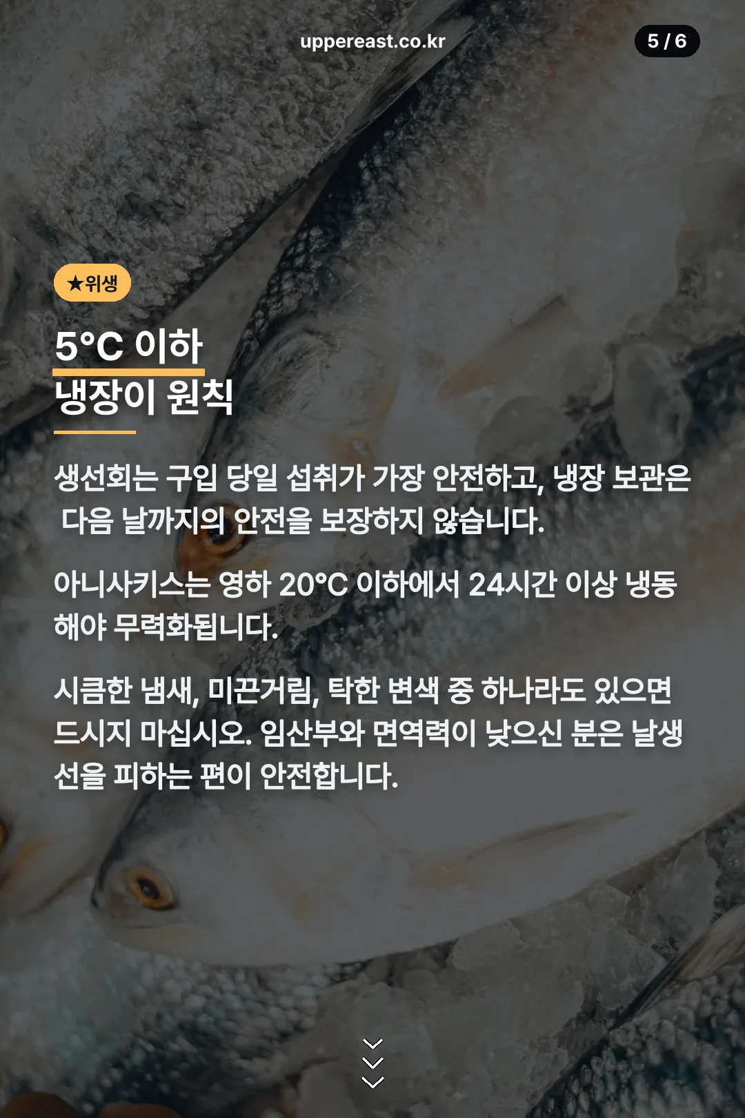 생선회 보관 위생