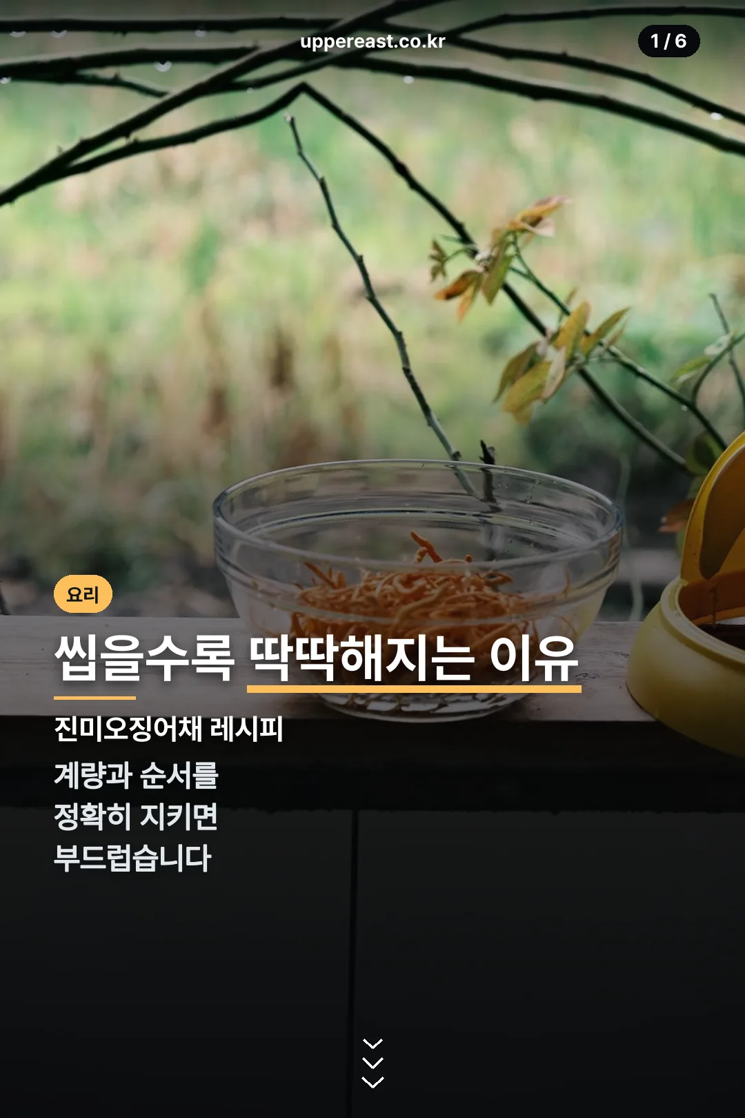 진미오징어채 레시피 표지