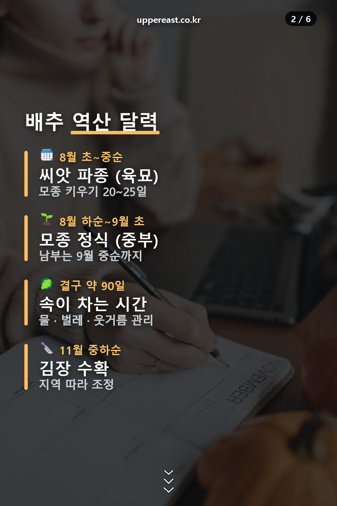 배추 역산 달력