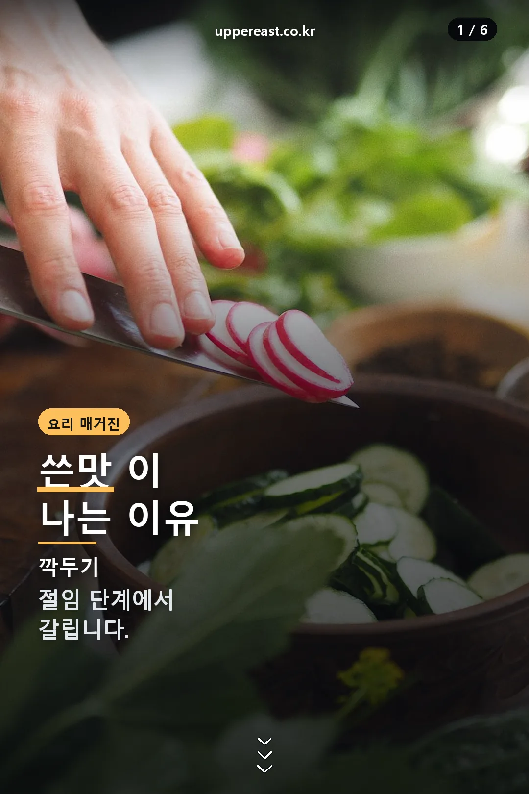 깍두기 쓴맛 표지