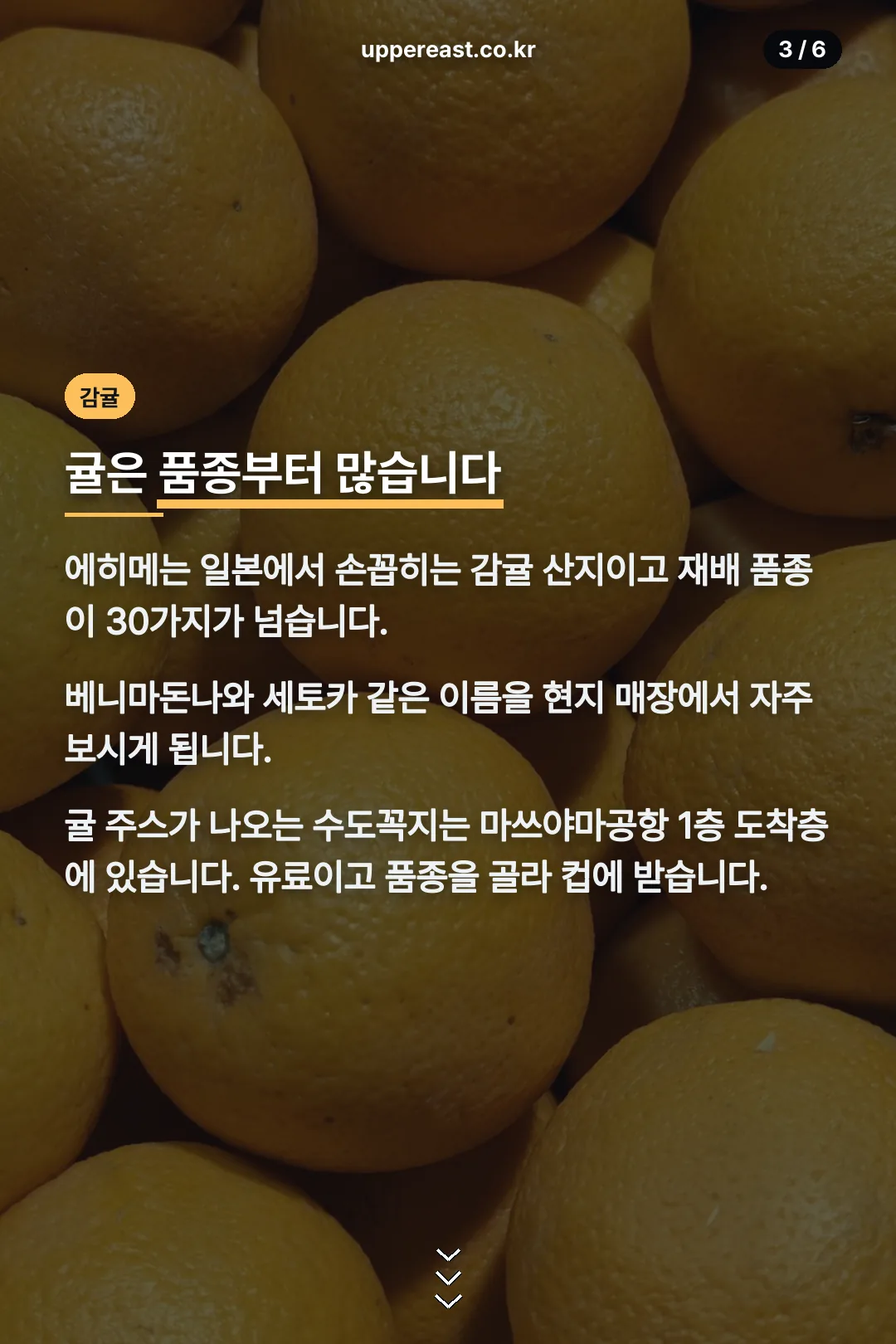 에히메 감귤
