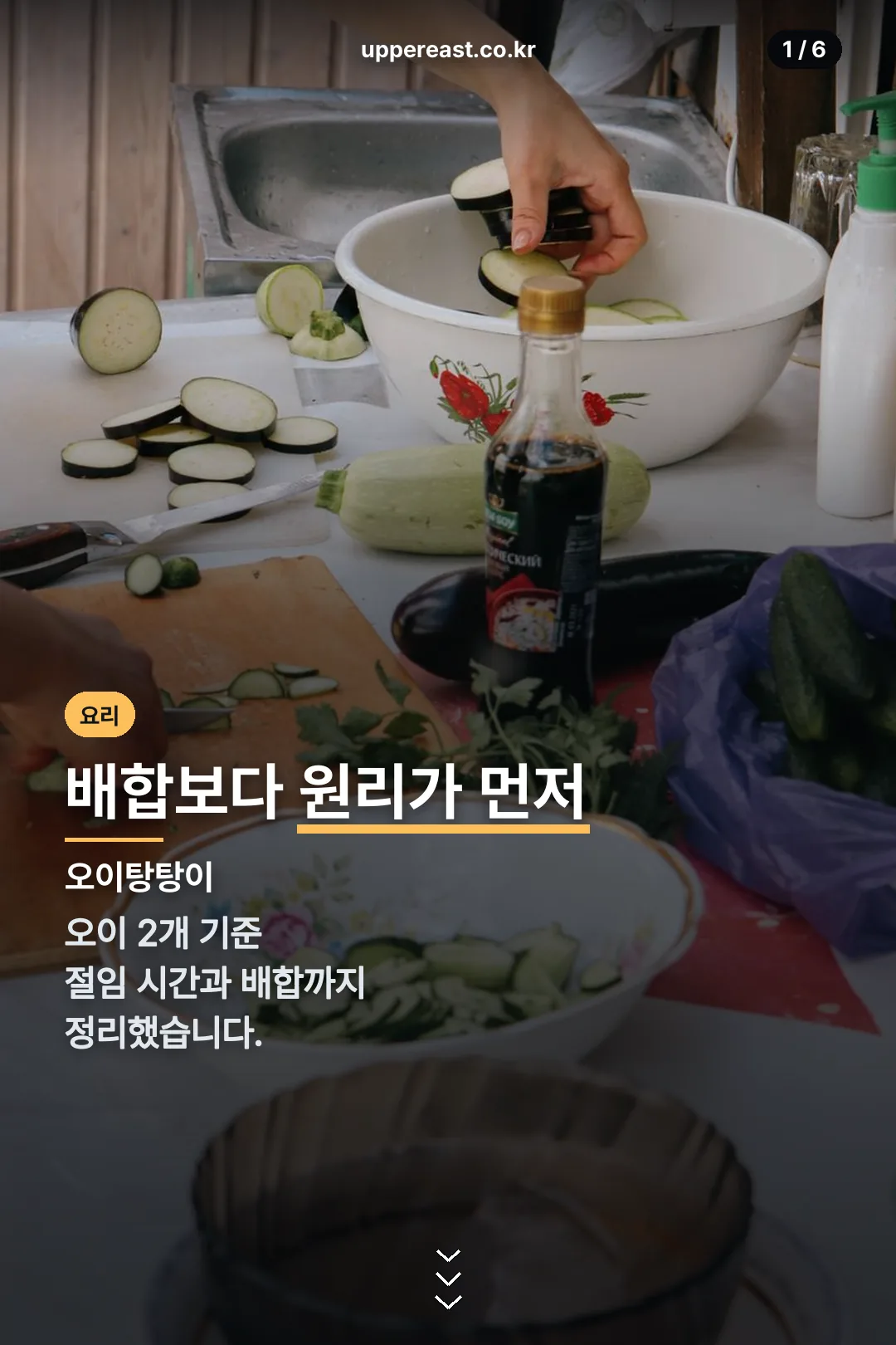 오이탕탕이 표지