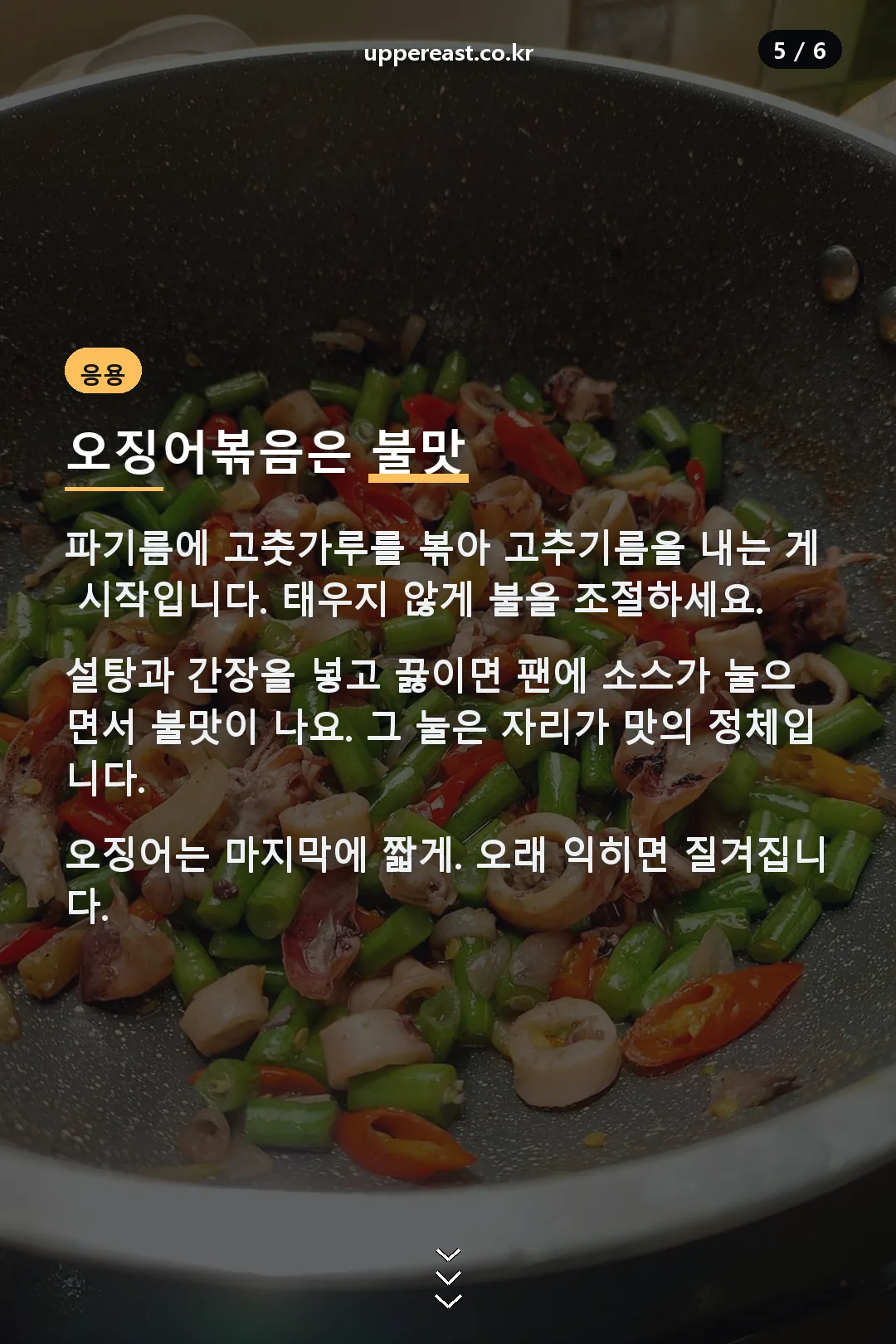 오징어볶음 응용