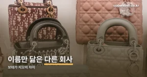 보테가 지오띠 차이 정리 썸네일