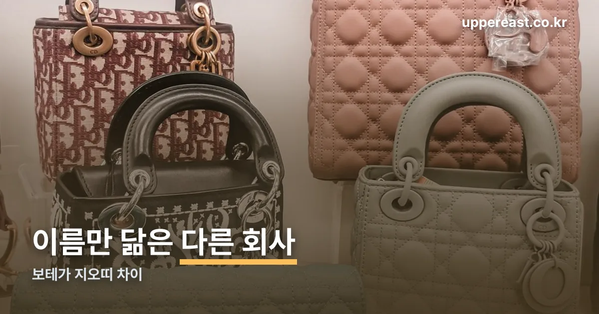 보테가 지오띠 차이 정리 썸네일