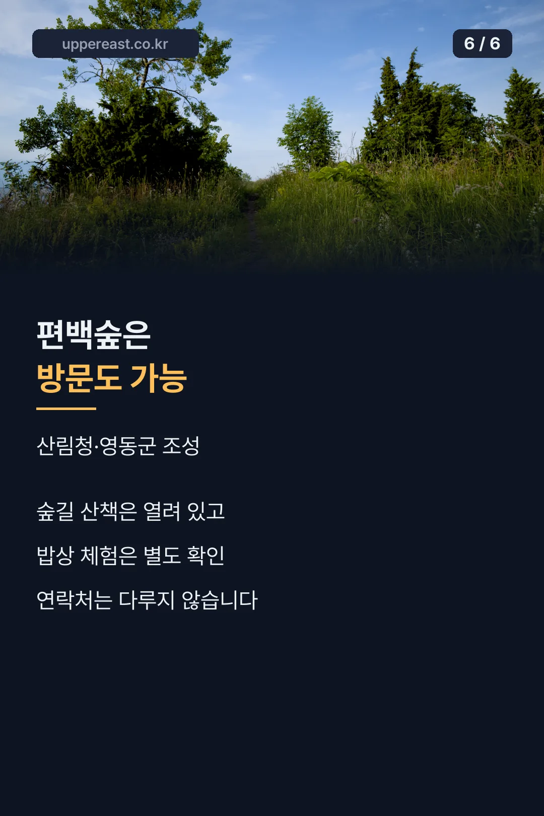 편백숲 방문 정보