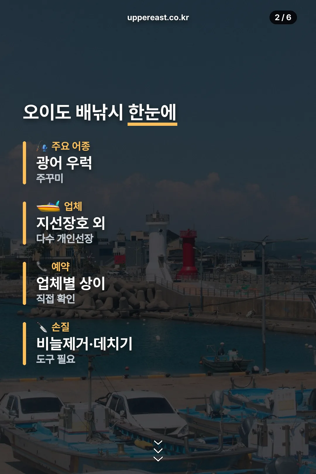 오이도 배낚시 정보
