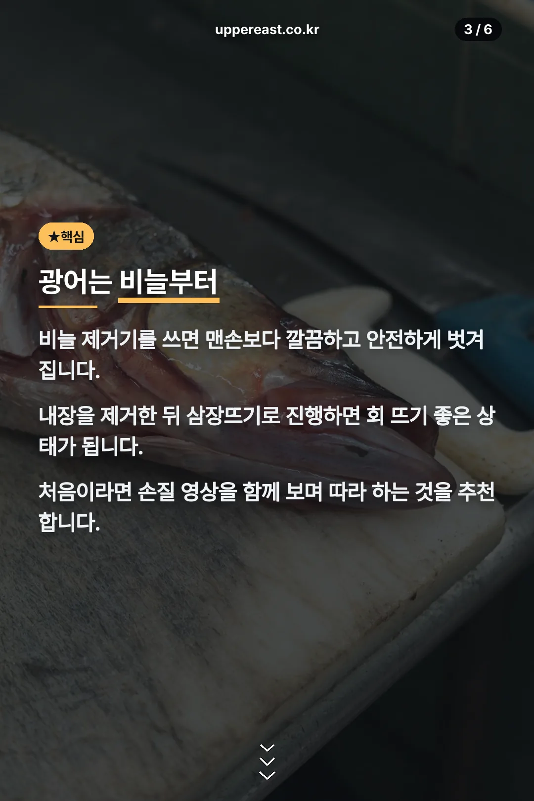 광어 손질 핵심