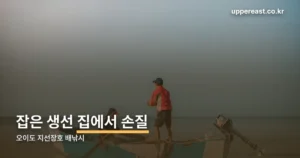 오이도 지선장호 정리 썸네일