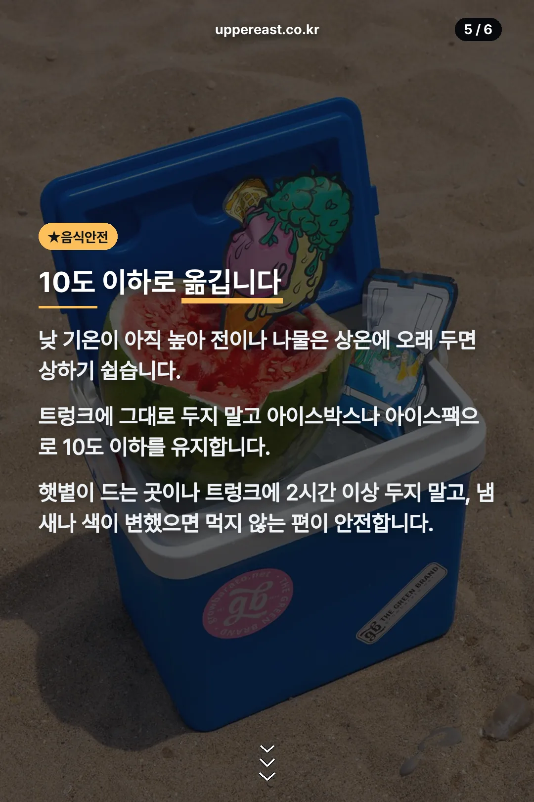 음식 안전 보관