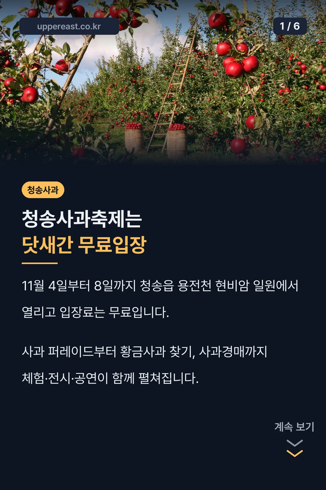 청송사과축제 닷새간 무료입장
