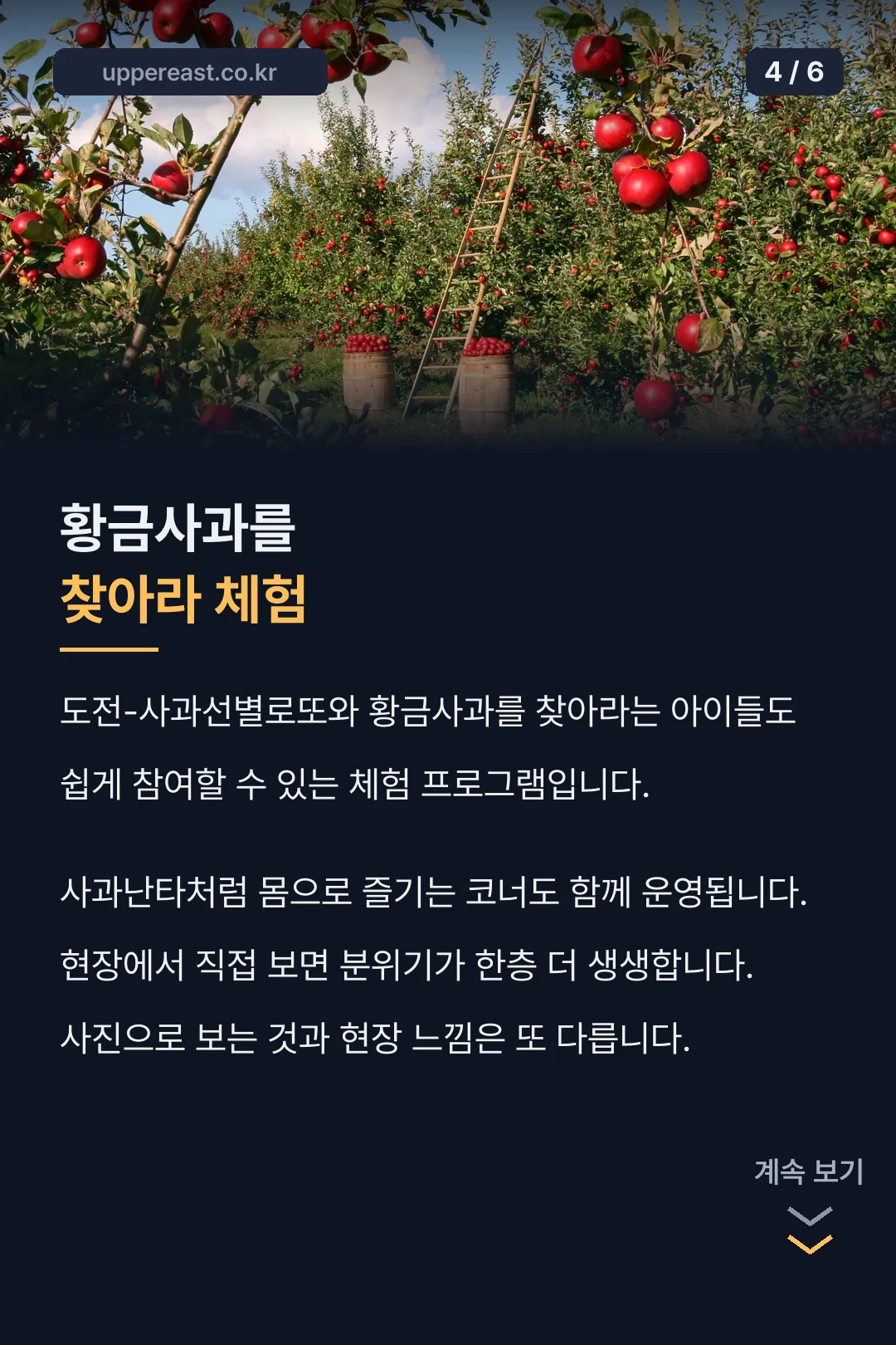 황금사과를 찾아라