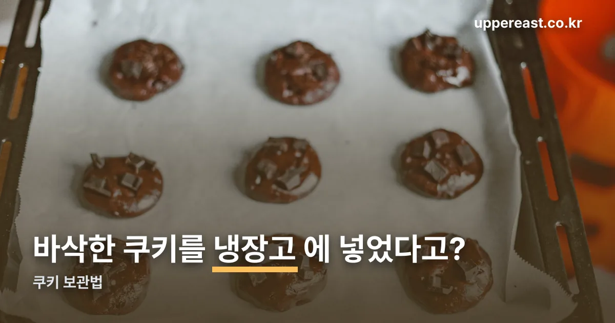 쿠키 보관법 정리 썸네일