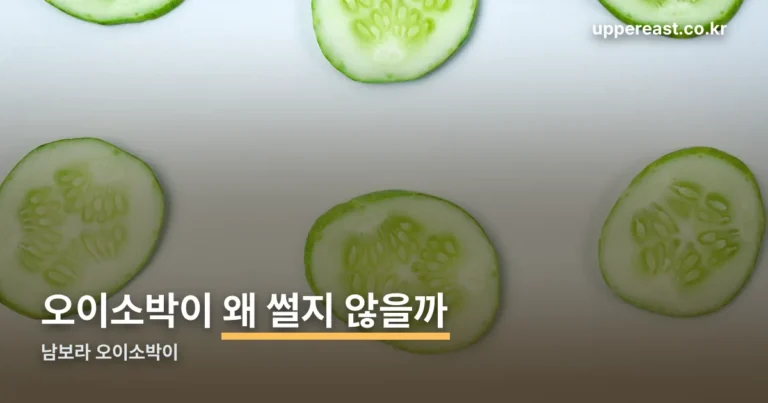 남보라 오이소박이 — 오이를 썰지 않는 게 핵심입니다